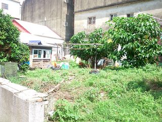 2014-09-24 10.09.31.jpg