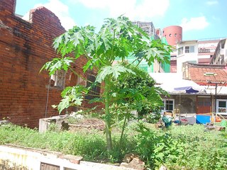 2014-09-24 10.44.21.jpg