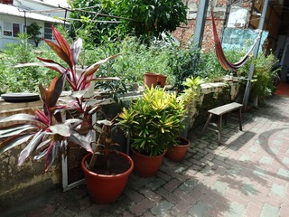 P6281023.jpg